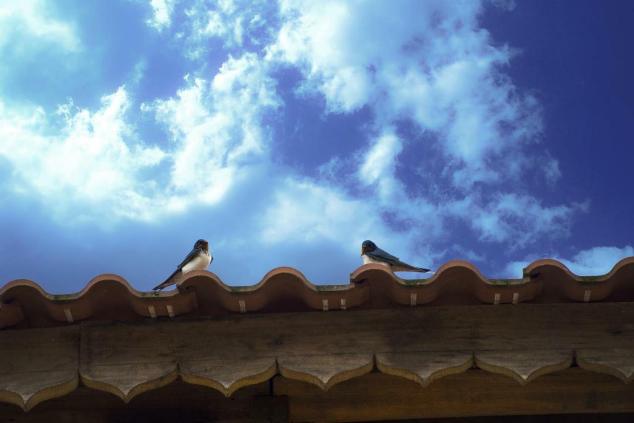 Toong Homestay Ha Giang Esterno foto